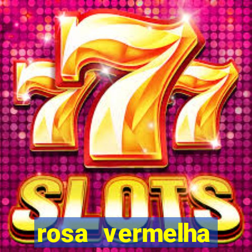 rosa vermelha (letra e cifra)